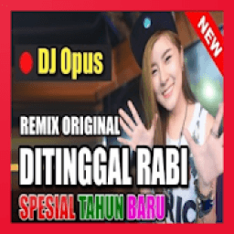 DJ Opus Full Offline │Dj Slow Tahun Baru icon