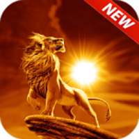 Lion King Of Animals HD Lock Screen