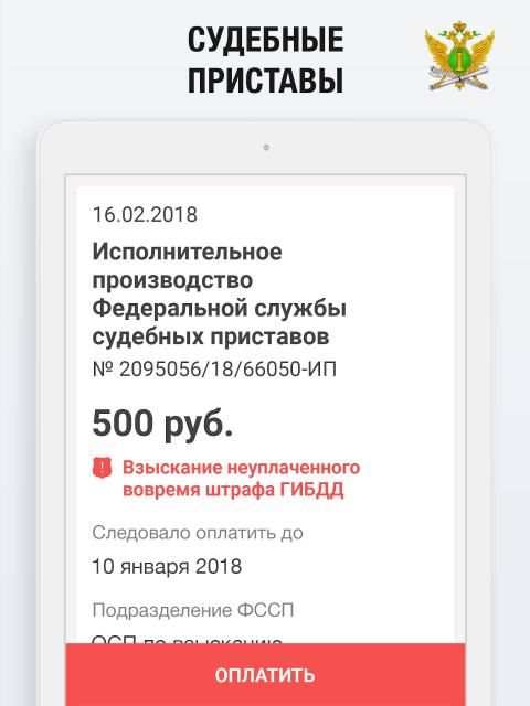 Штрафы ГИБДД с Фото - Проверка и Оплата Онлайн screenshot 3