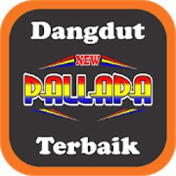 new pallapa koplo 2.3