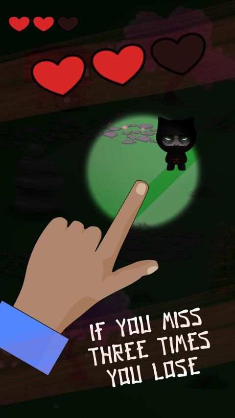 Catch Ninja screenshot 4
