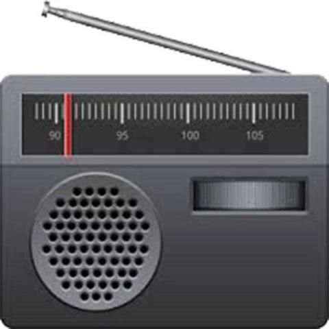 Hindi FM Radio screenshot 1