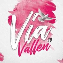 Via Vallen 1.2