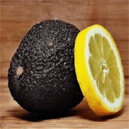 Fat Burning Foods आइकन