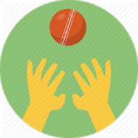 Cricket everyday - tips