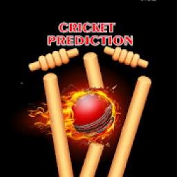 Expert Cricket Prediction