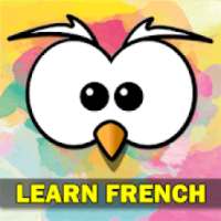 Learn French Language