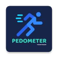 Pedometer