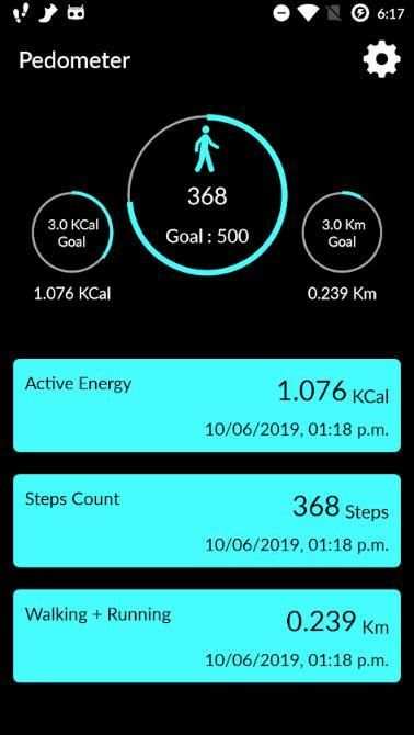 Pedometer स्क्रीनशॉट 7