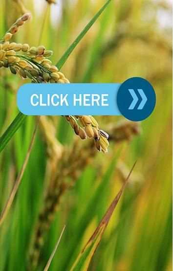 Bsc Agri Notes screenshot 2