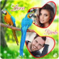 Love Birds Photo Maker