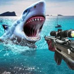 Shark Hunter 3.1