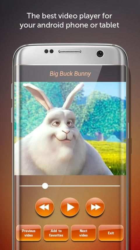 Video Player screenshot 2