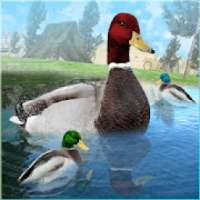 Duck Family Simulator