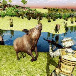 Wild Boar hunting : 3d sniper shooting game