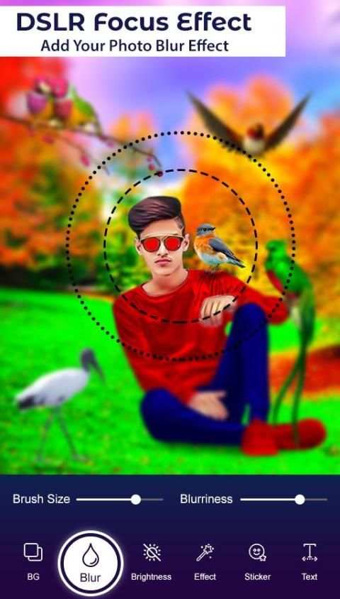 Bird Photo Editor screenshot 4