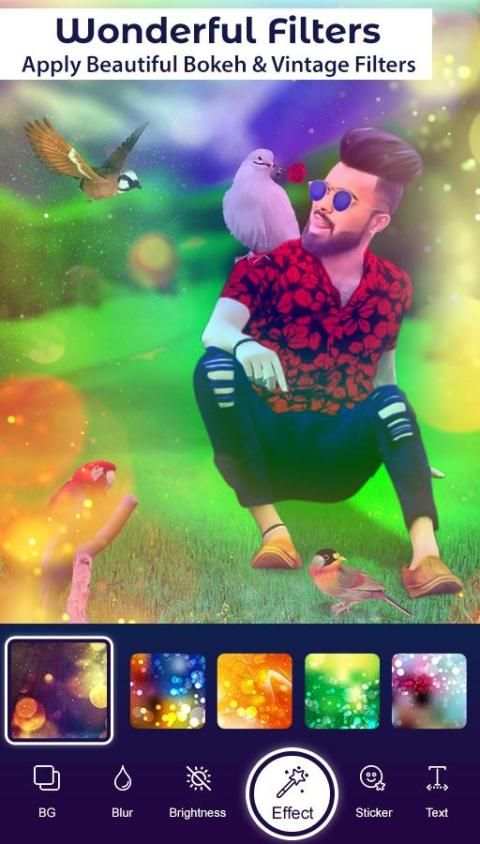 Bird Photo Editor screenshot 2
