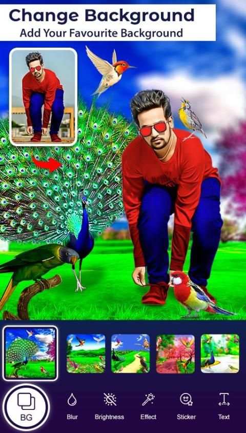 Bird Photo Editor screenshot 5
