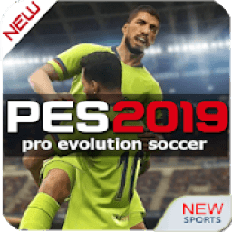 ikon PES 19 Pro Hint