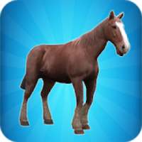 My Horse Simulator
