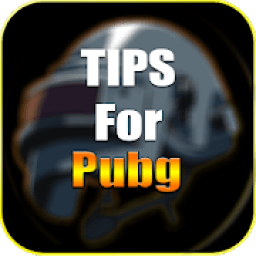 PRO TIPS PUBG 2019 आइकन