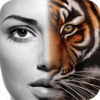 ikon Animal Face Changer - Face Morphing - Maker App