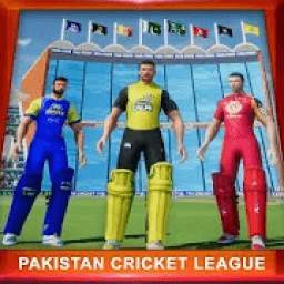 Pakistan Cricket League 2020: Play live Cricket