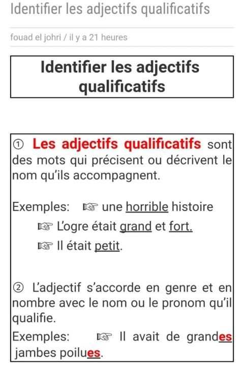 Grammaire français pour les nuls screenshot 4