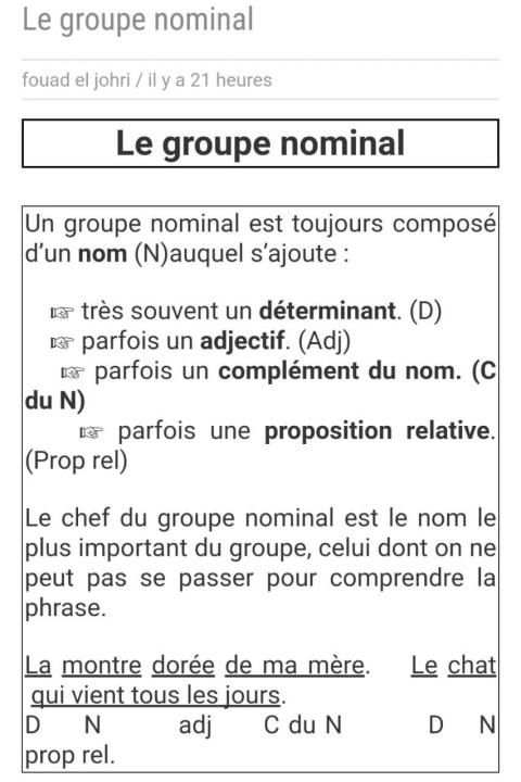 Grammaire français pour les nuls screenshot 1