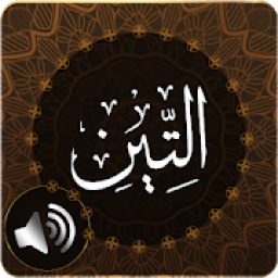 ikon Surah Tin Audio