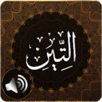 Surah Tin Audio