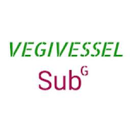 VEGIVESSEL