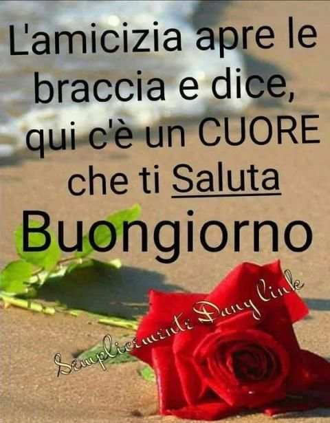 buon giorno buon pomeriggio‬‏ buona notte gifs screenshot 3