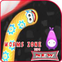 Walkthrough For Worms Zone