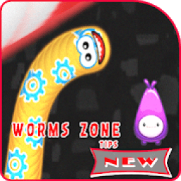 Walkthrough For Worms Zone आइकन