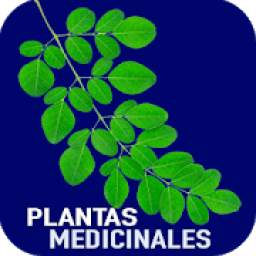 Plantas Medicinales 1.2