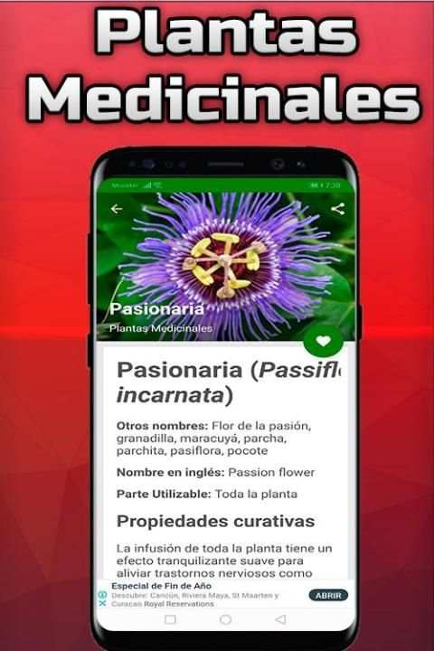 Plantas Medicinales y Sus Usos Gratis screenshot 6