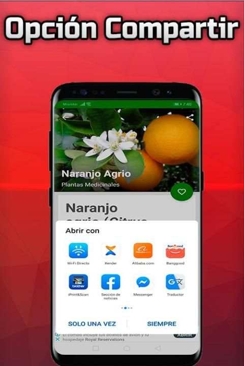 Plantas Medicinales y Sus Usos Gratis screenshot 3