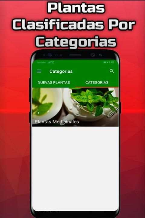 Plantas Medicinales y Sus Usos Gratis screenshot 1