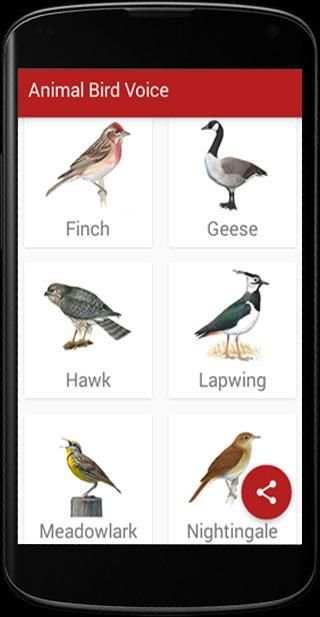 Animal Bird Voice स्क्रीनशॉट 1