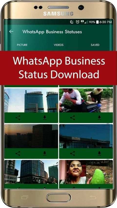 Business Status Downloader screenshot 3