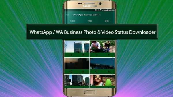 Business Status Downloader screenshot 1