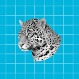 ikon Mobile Wallpaper (Live Wallpaper)