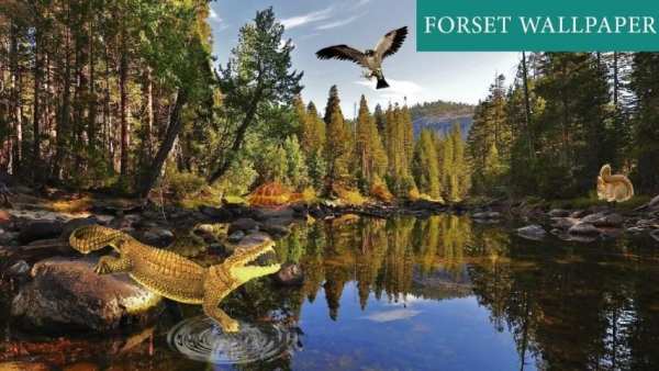 Forest 3D Live Wallpaper screenshot 2