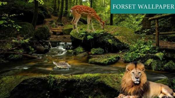 Forest 3D Live Wallpaper screenshot 4
