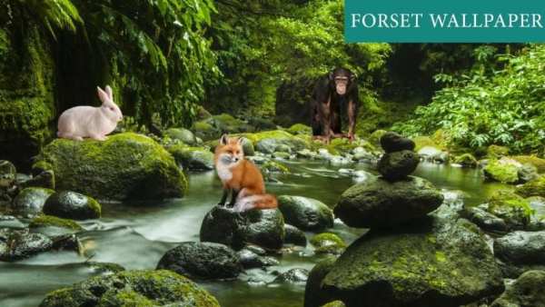 Forest 3D Live Wallpaper screenshot 5
