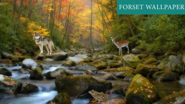 Forest 3D Live Wallpaper screenshot 1