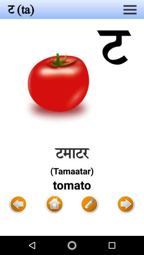 Hindi Language Basic स्क्रीनशॉट 8