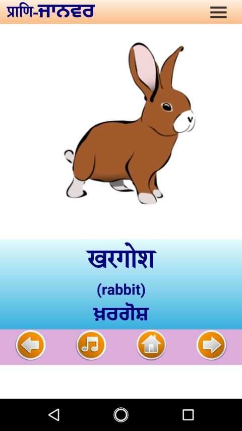 Hindi Language Basic स्क्रीनशॉट 3
