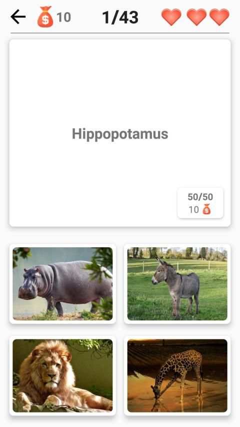 Mammals – Learn All Animals in Foto-Quiz! screenshot 2